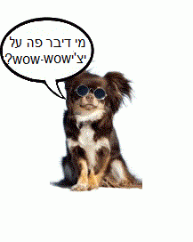 יציwow-wow-מוטוריקל.gif