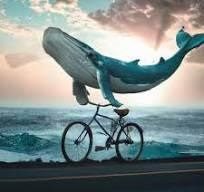 לימוד אופניים ברמות הנאה של whale